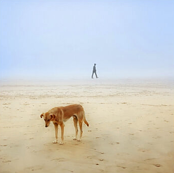 Abandonné